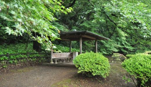 感想｜言の葉の庭を見ると梅雨がちょっとだけ好きになる